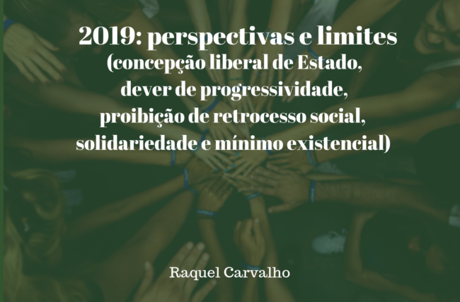 2019: perspectivas e limites (concepção liberal de Estado, dever de progressividade, proibição de retrocesso social, solidariedade e mínimo existencial)