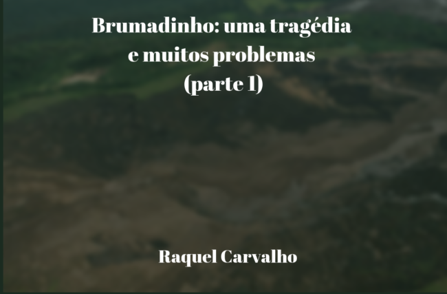 Brumadinho: uma tragédia e muitos problemas (parte 1)