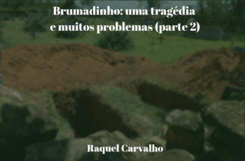 Brumadinho: uma tragédia e muitos problemas (parte 2)