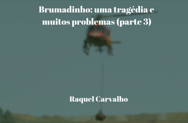 Brumadinho: uma tragédia e muitos problemas (parte 3)